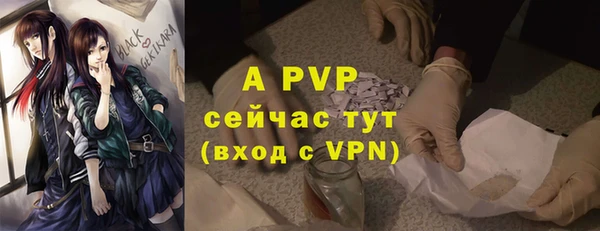 спиды Абинск