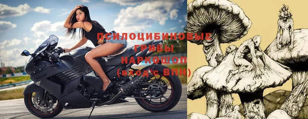 спиды Абинск