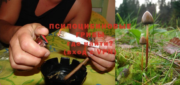 альфа пвп Надым